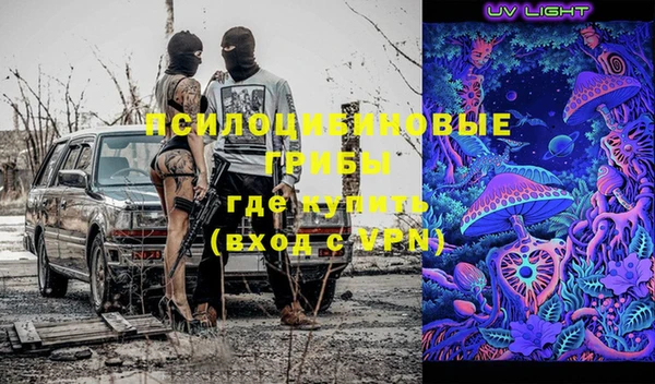 мяу мяу мука Няндома