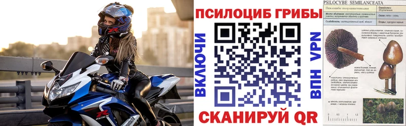 Галлюциногенные грибы прущие грибы  Сасово 