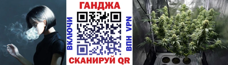 купить  цена  Сасово  МАРИХУАНА планчик 